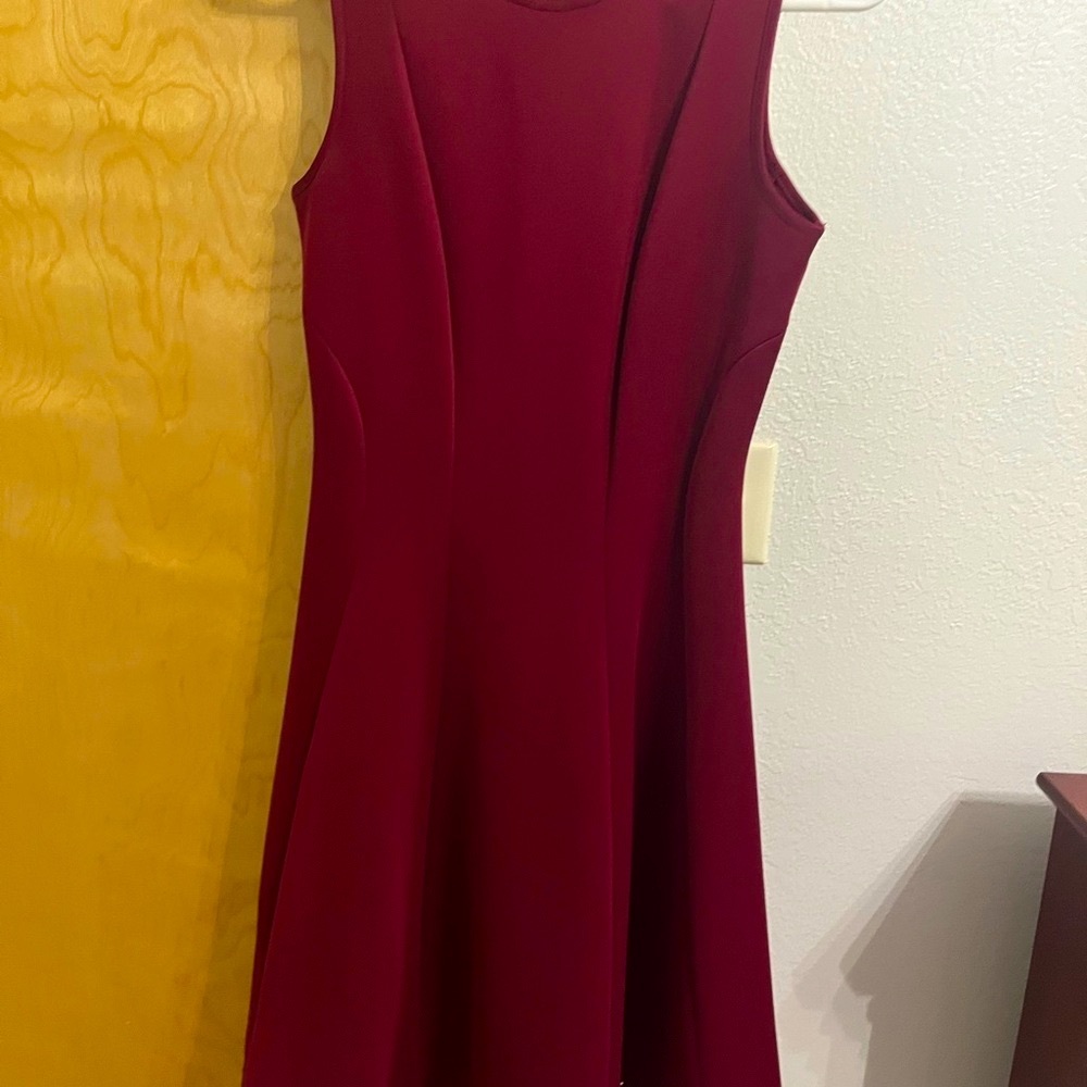 Donna Ricco Deep Red Dress